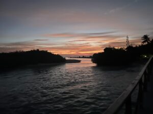 IMG-20240310-WA0063