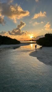 IMG-20240310-WA0076